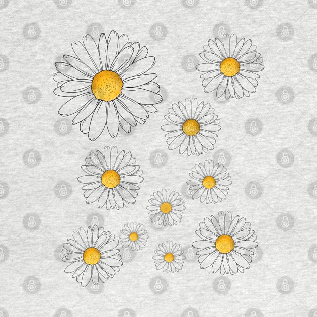 Daisies by Miruna Mares